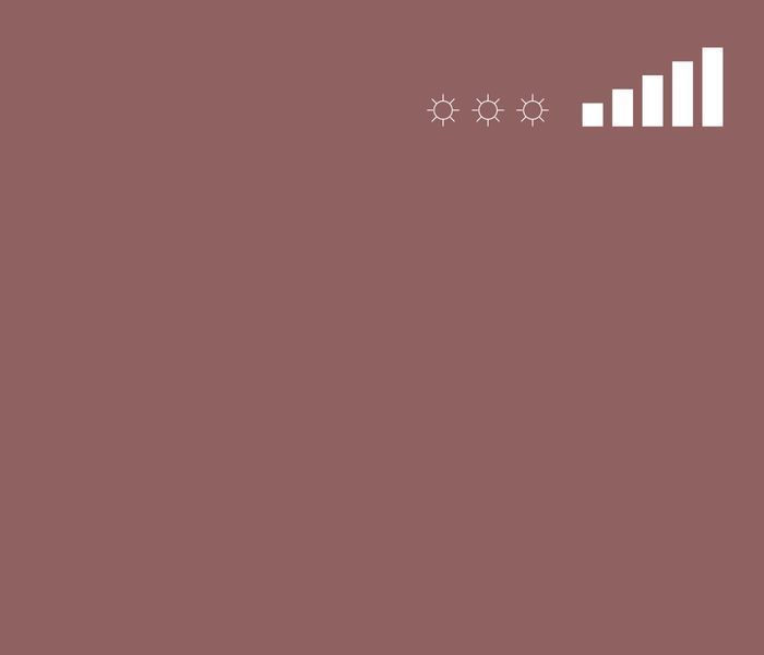 Аэрозольная краска MTN 94 RV-201 Scarlet Brown, EX0140201M, 400 мл 622561 фото