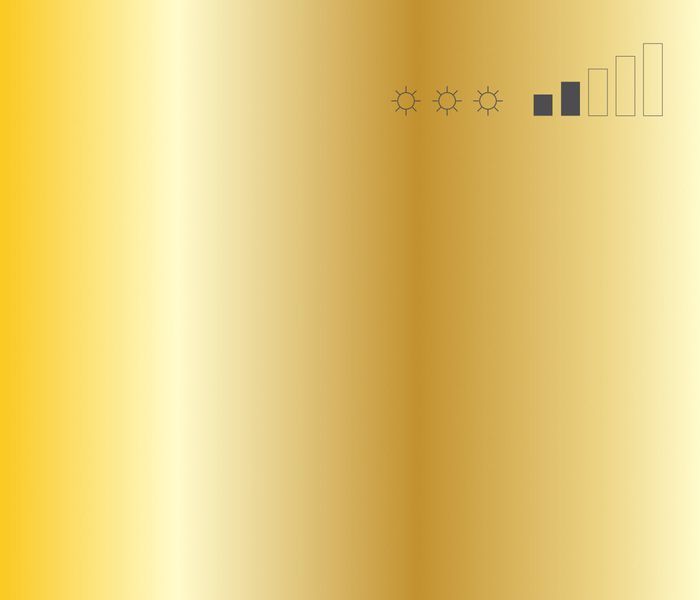 Аерозольна фарба MTN 94 Frame Gold, EX0140127, 400 мл 622447 фото